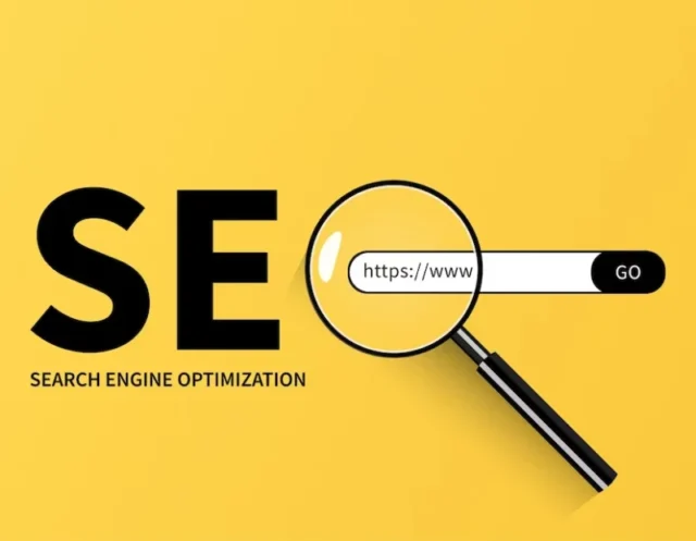 SEO Services in Panchkula