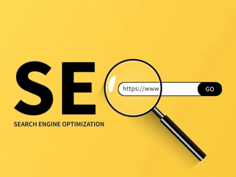 SEO Services in Panchkula